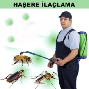 Taşlıçay Böcek İlaçlama